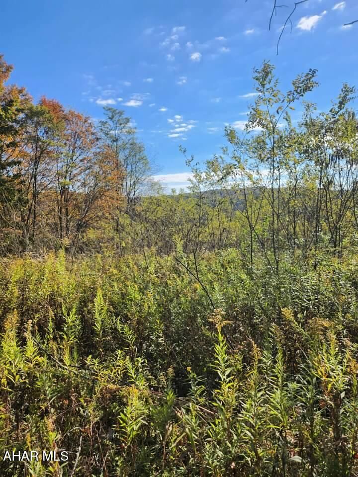 Property Photo: 0 Off Natures Symphony Road PA 16655