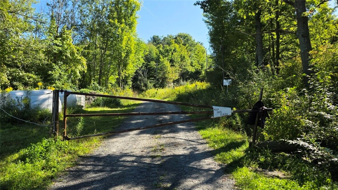 Property Photo:  Black Ash Road  NY 14898 