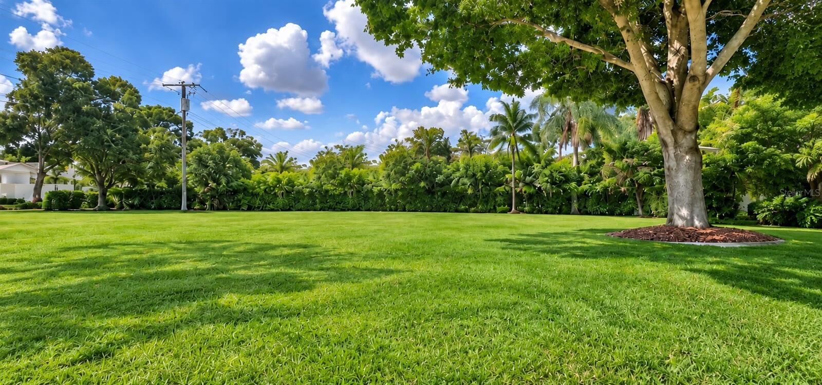 Property Photo:  5002 W Juno Street  FL 33629 