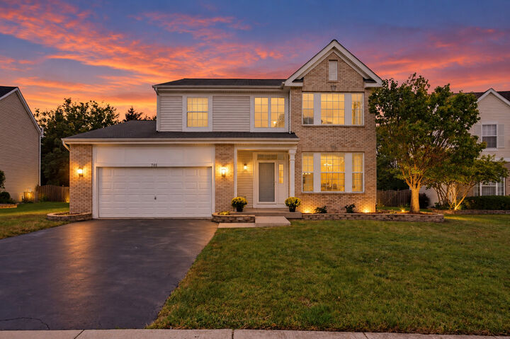 Property Photo:  705 Silver Leaf Drive  IL 60431 