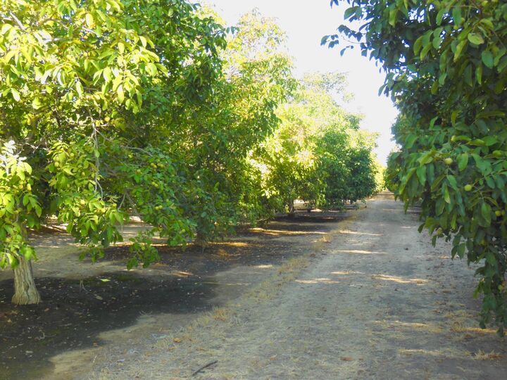 Property Photo: 0 Clark Road CA 95953