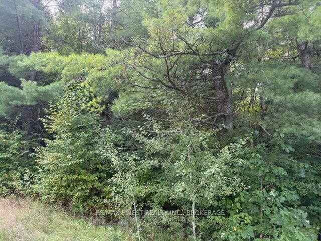 Property Photo:  4900 County Rd 4 N/A  ON K0K 1Z0 