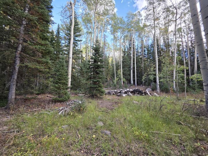 Property Photo: 214 E Deer Trail Rd UT 84719