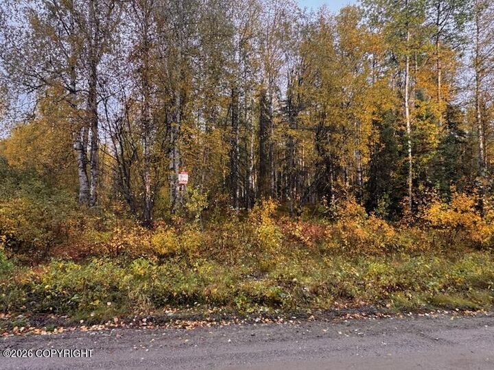 Property Photo:  12913 N Pettis Drive  AK 99688 