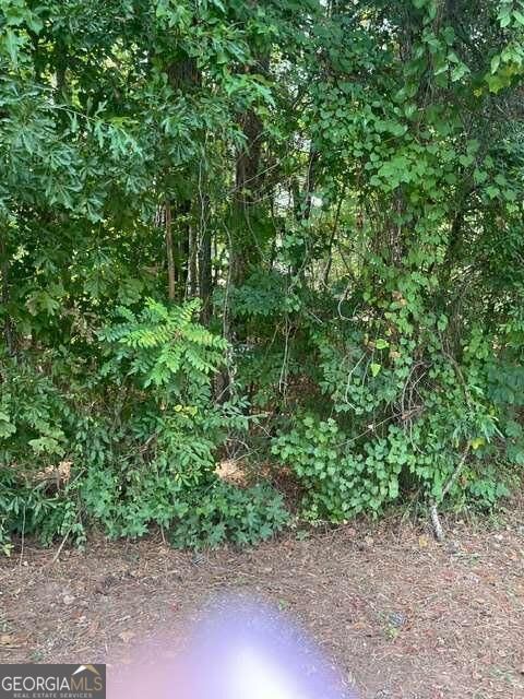 Property Photo:  Lot  398 Little River Drive SW  GA 31024 
