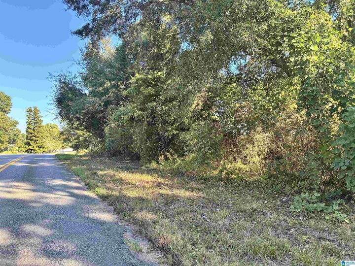 Property Photo:  0 County Road 24 1  AL 36091 