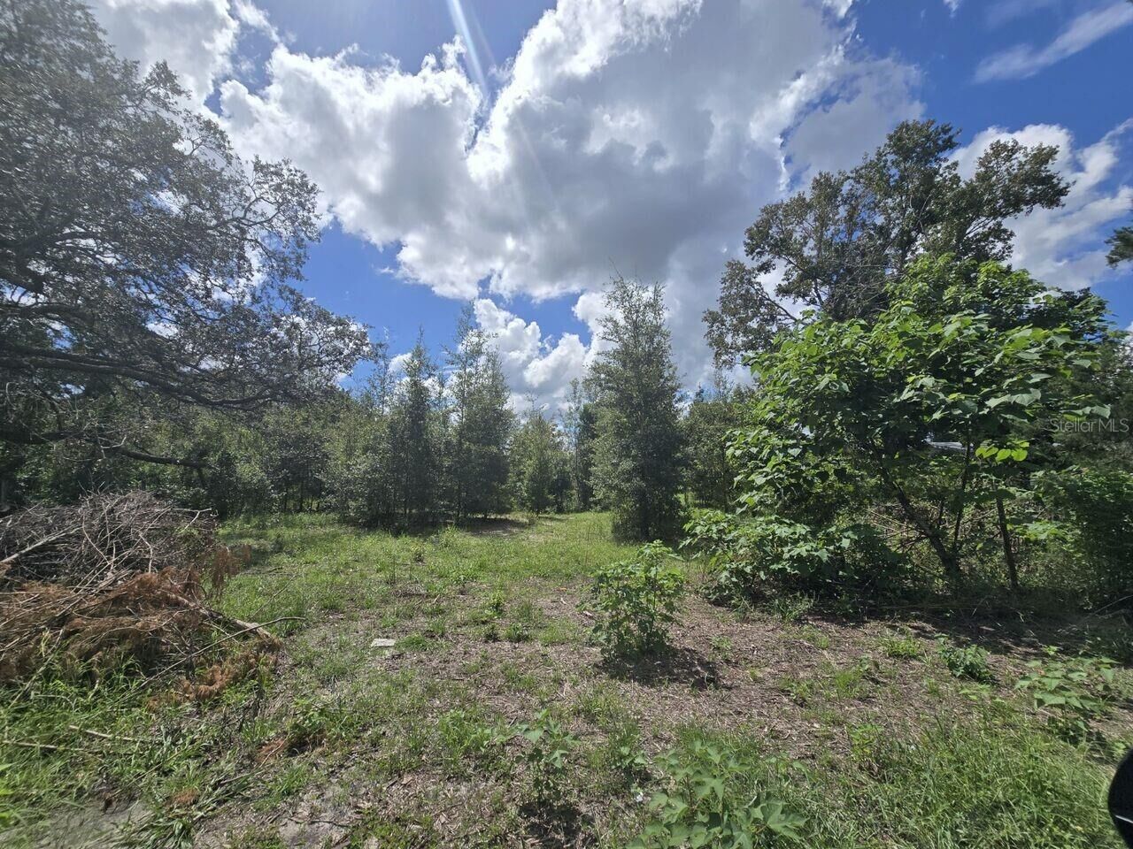 Property Photo:  St. Paul Dr  FL 34610 