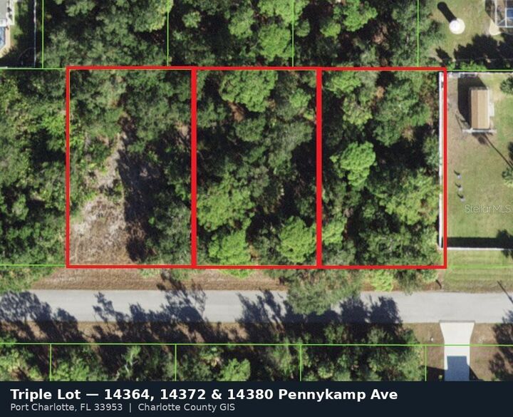 Property Photo:  14372 Pennykamp Avenue  FL 33953 