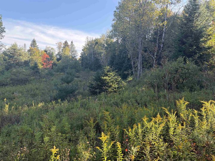 Property Photo: 000 Burke Hollow Road VT 05832-9751