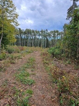 Property Photo:  53 Daniel Shays Highway  MA 01364 