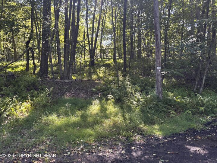 Property Photo: Ski Trail 32 PA 18347