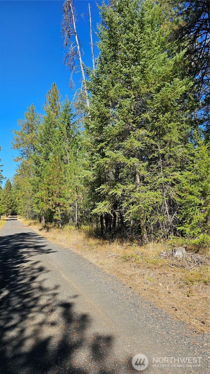 Property Photo:  385 X  Agar Road  WA 99148 