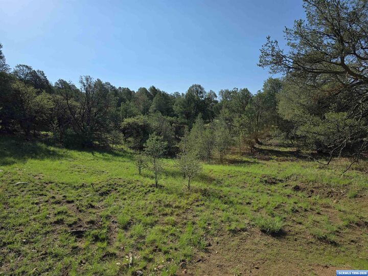 Property Photo:  37-X1 Black Dog Road  NM 88061 