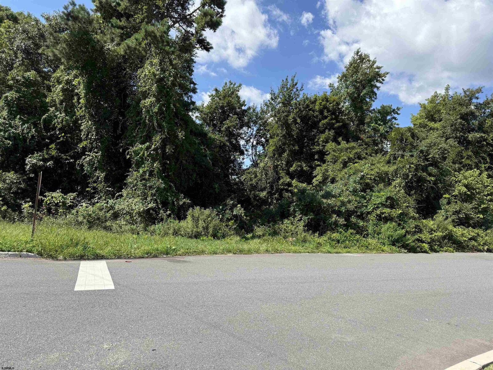 Property Photo:  Maple Rd  NJ 08201 