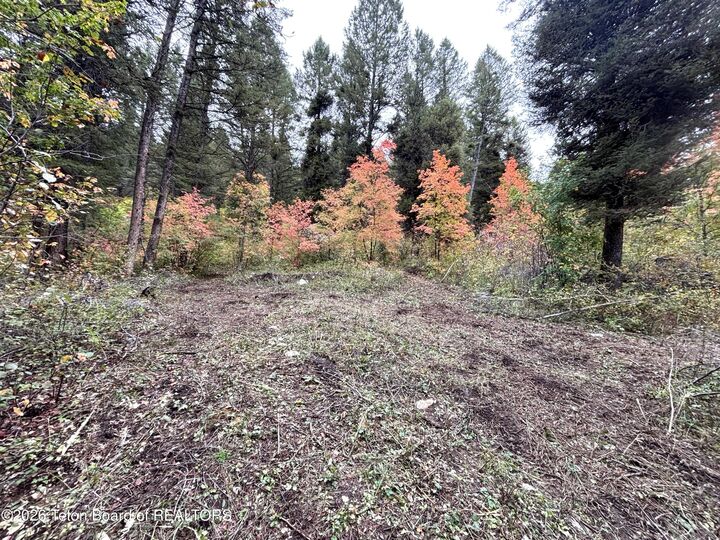 Property Photo:  Lot 60 Cedar Drive  WY 83127 