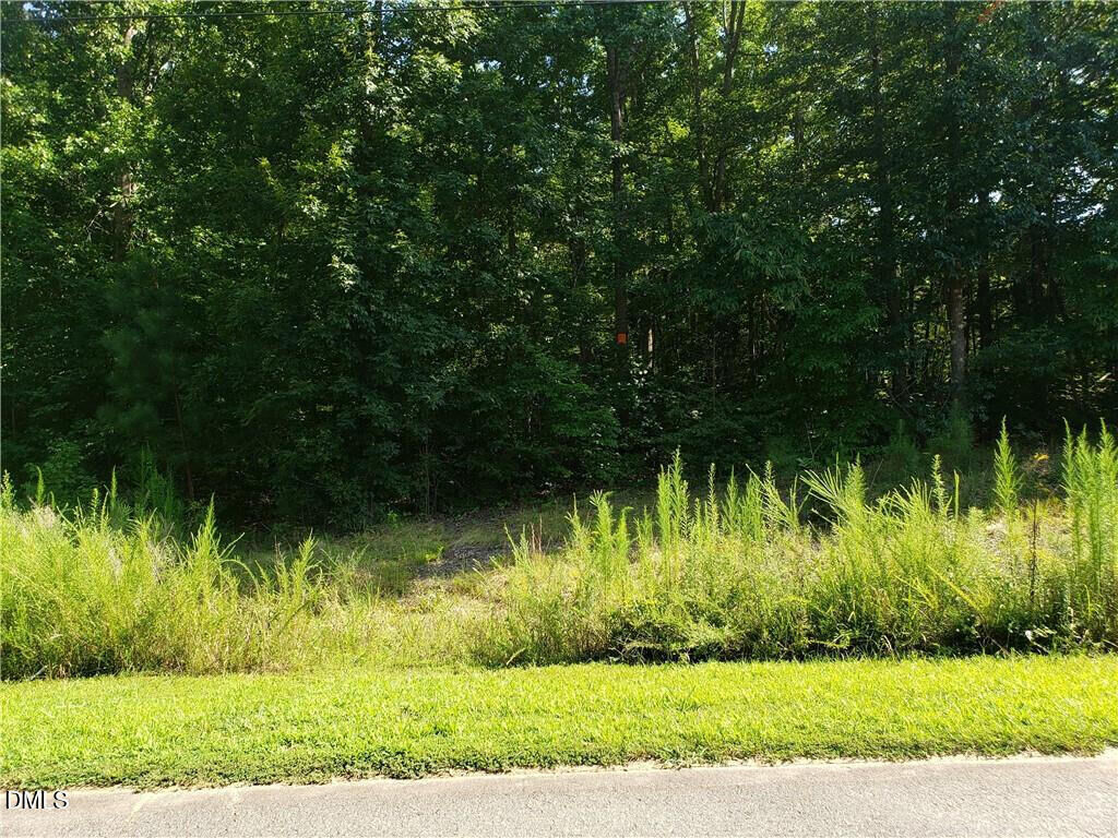 Property Photo:  1131 Hummingbird Lane  NC 27298 