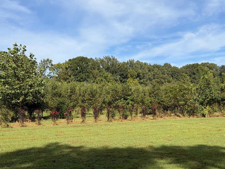 Property Photo:  Parcel 3 Tater House Rd  TN 38342 
