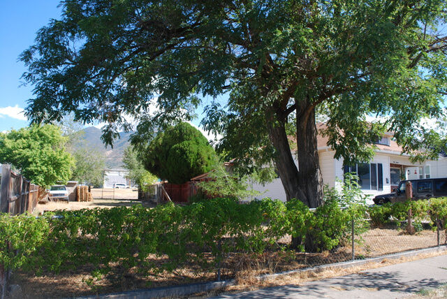 Property Photo:  116 N 3rd St N  UT 84074 