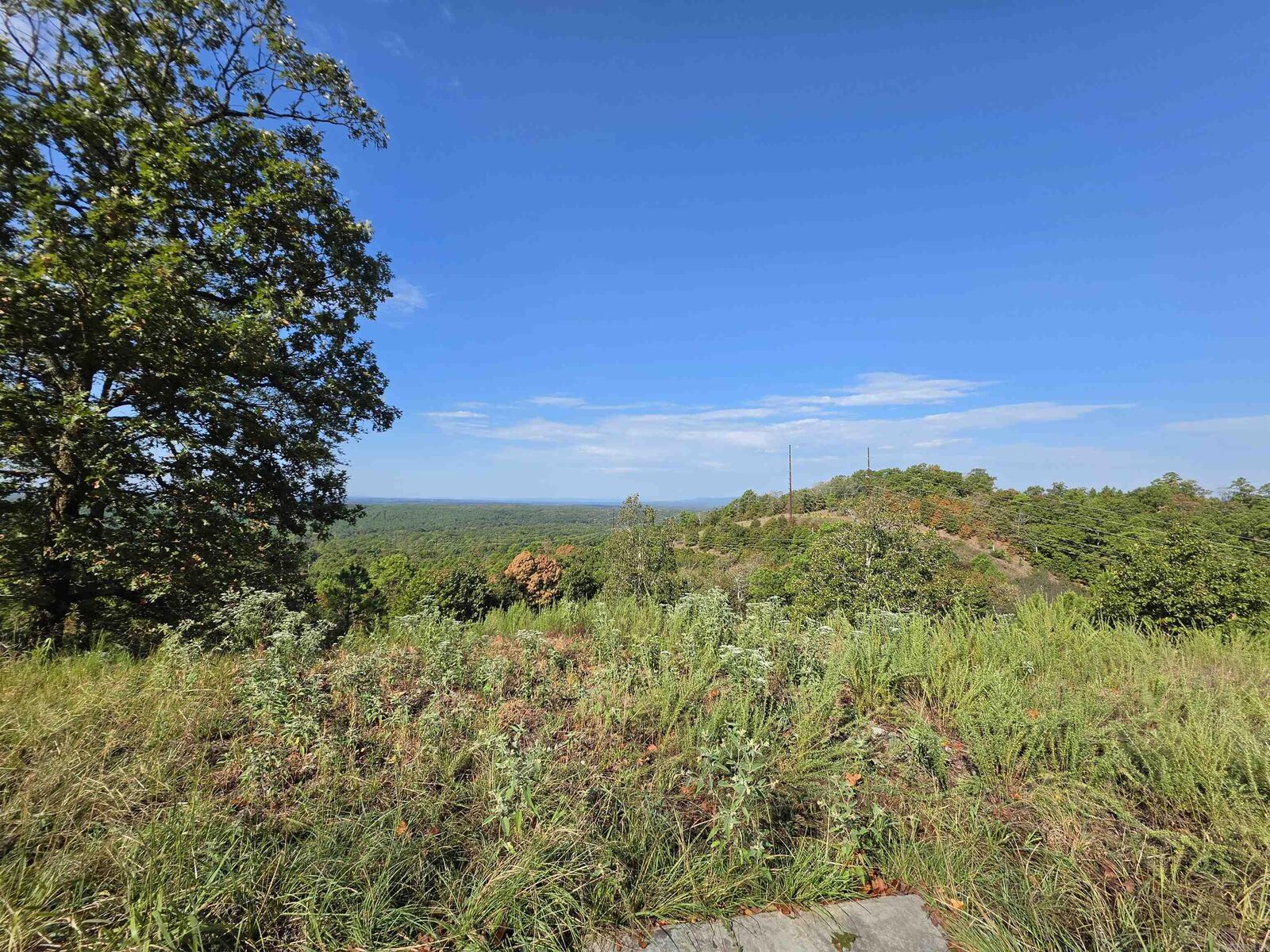 Property Photo:  457 Polk Road 412  AR 71953 