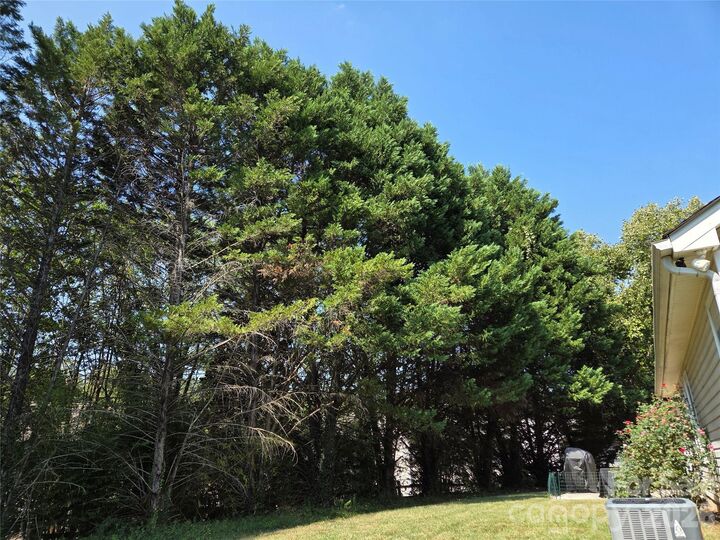 Property Photo: 9100 Royal Highlands Court NC 28277