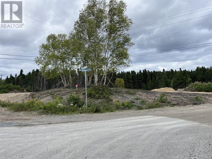 Property Photo:  10 Northside Road  NL A0G 1Z0 