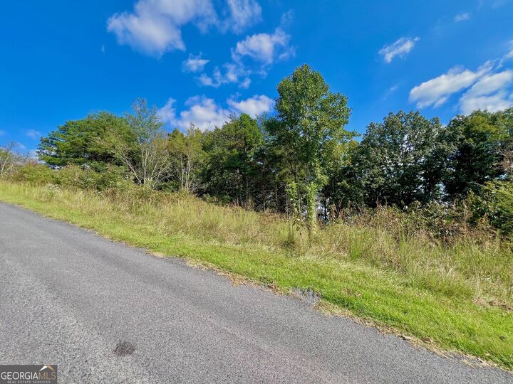 Property Photo:  T7 Talona Mountain Road  GA 30536 