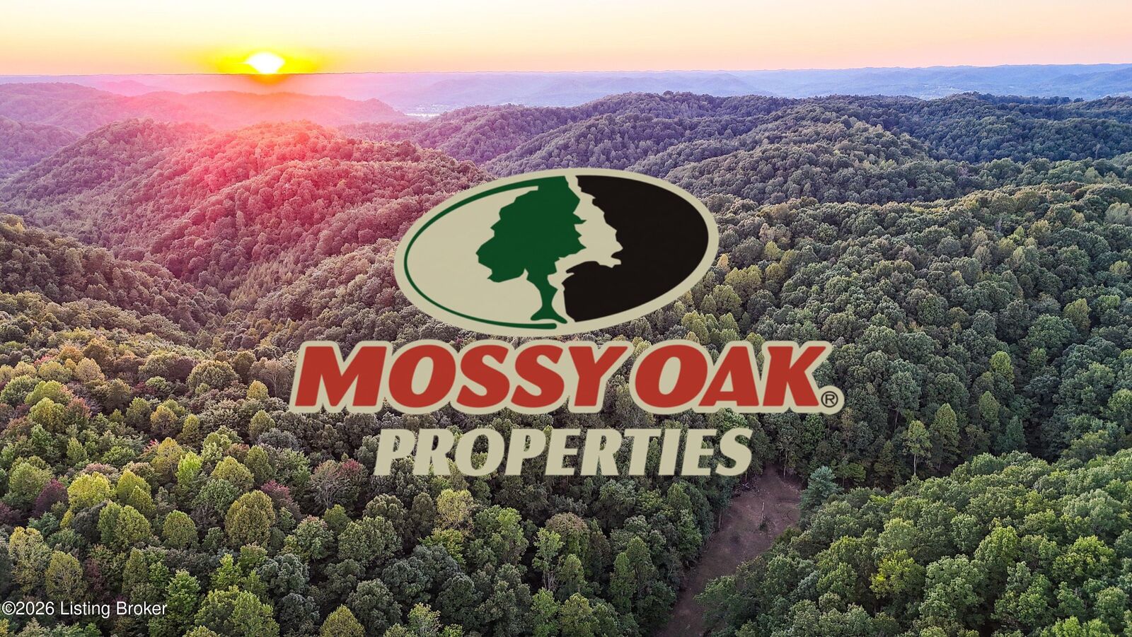 Property Photo:  0 Dry Fork Rd  KY 41175 