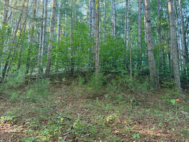 Property Photo: 4132 Cornstalk Rd WV 24931