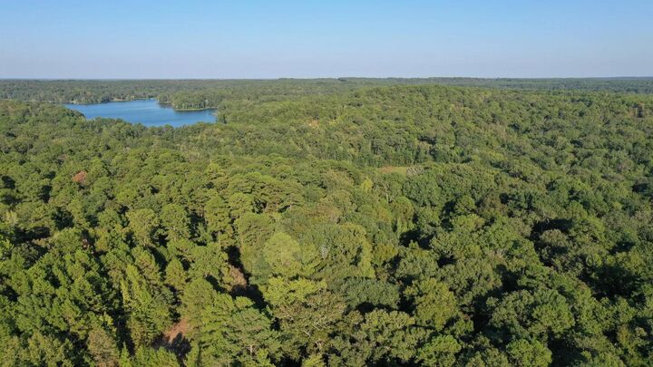 Property Photo:  0000 County Road 1511  TX 75630 