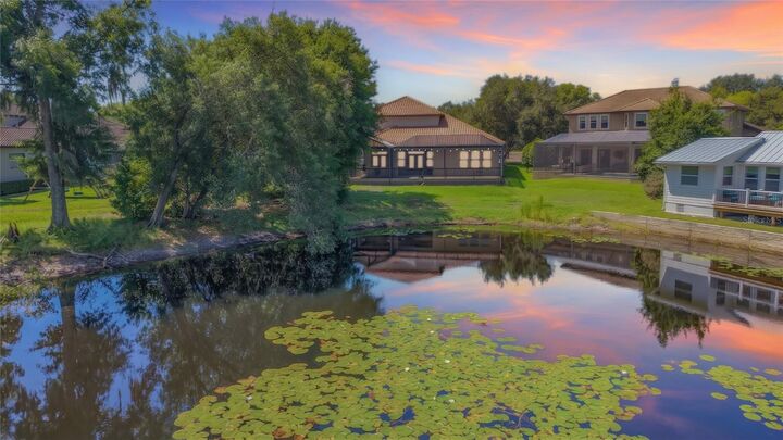 Property Photo: 1107 Isobel Reserve Lane FL 33613