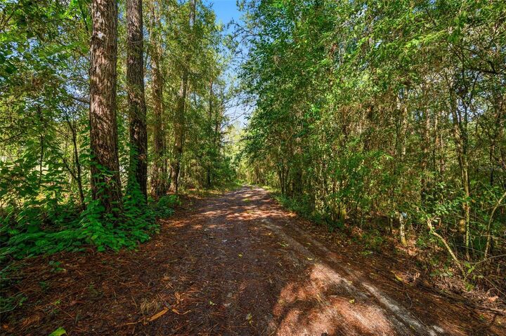 Property Photo: 3426 SE 185th Avenue FL 32667