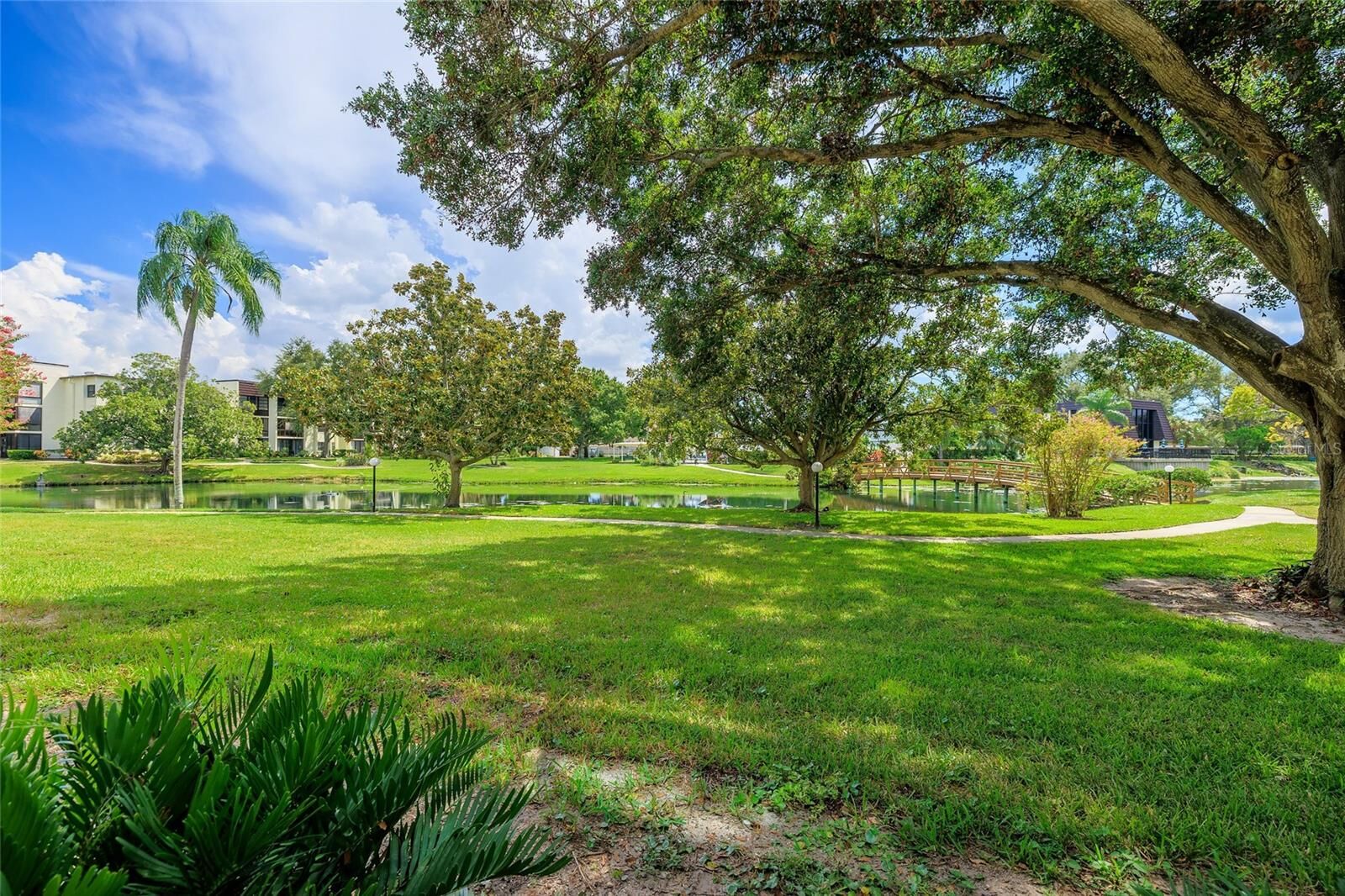 Property Photo: 14130 Rosemary Lane 3115 FL 33774