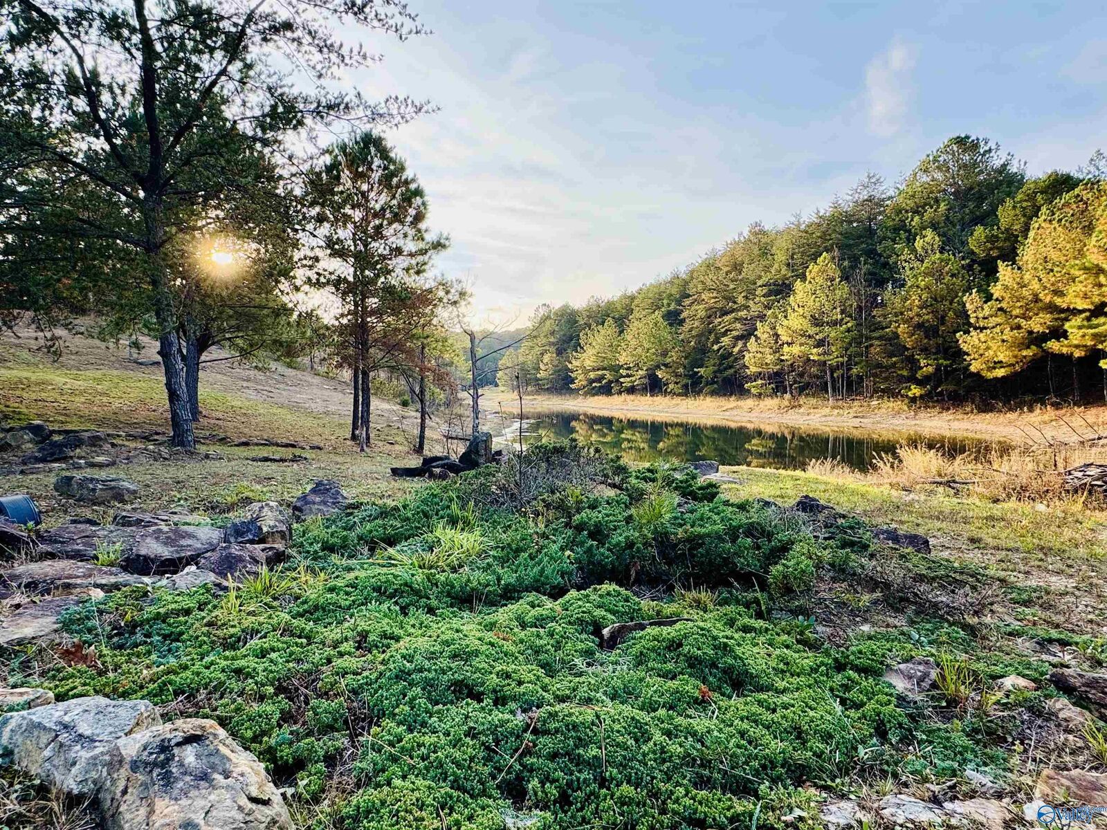 Property Photo:  505 Road 9002  AL 35984 