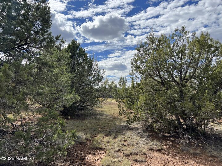 Property Photo:  7197 N Red Lake Road  AZ 86046 