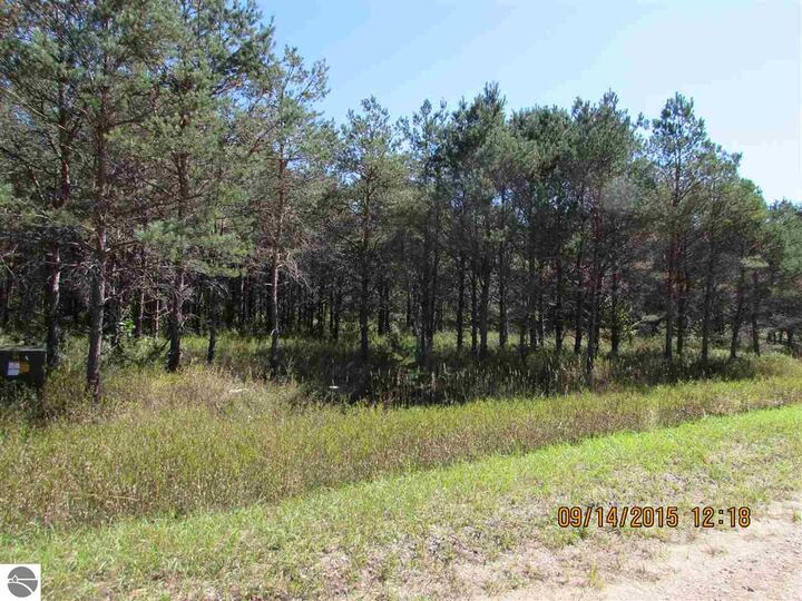 Property Photo: 431 Kleehammer Club Drive MI 49646