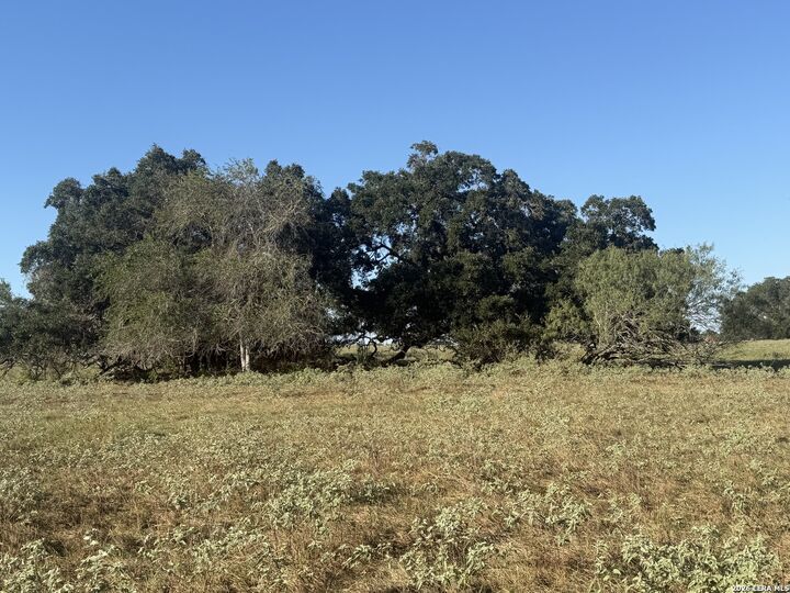 Property Photo: Tbd State Highway 123 S TX 78160