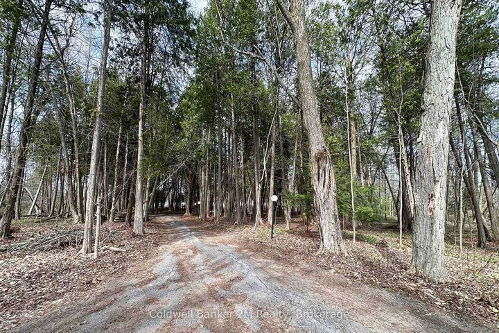 Property Photo:  14900 Regional Rd 57 N/A  ON L0B 1B0 