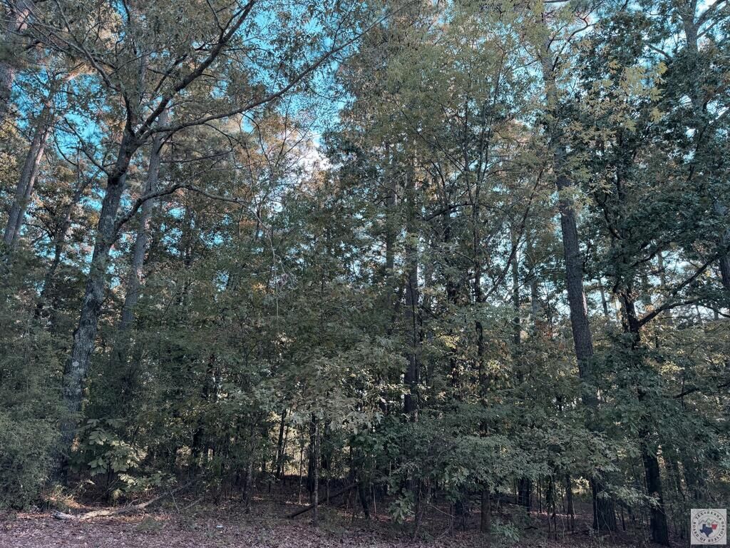 Property Photo: 403 Forest Lake Dr TX 75503