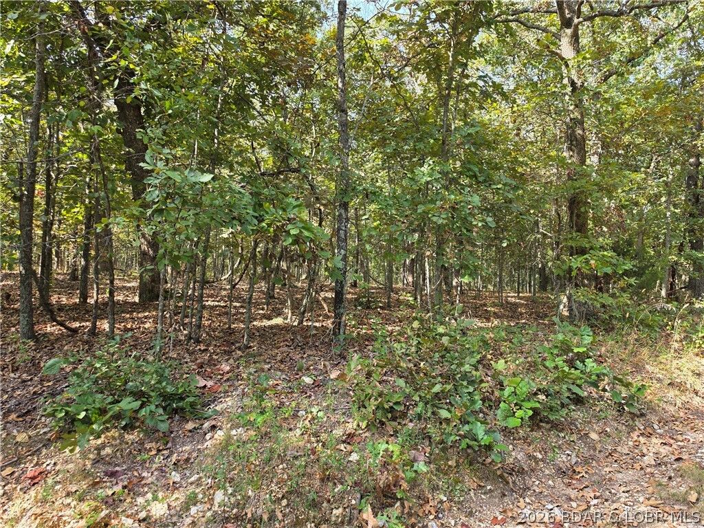 Property Photo: Araskog Drive 3203, 3204, 3205, 3206 MO 65326