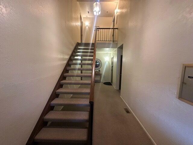 Property Photo: 109 Sussex Circle C1 IL 60193