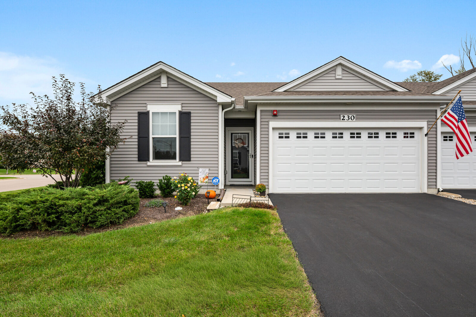 Property Photo:  230 Sussex Court  IL 60542 