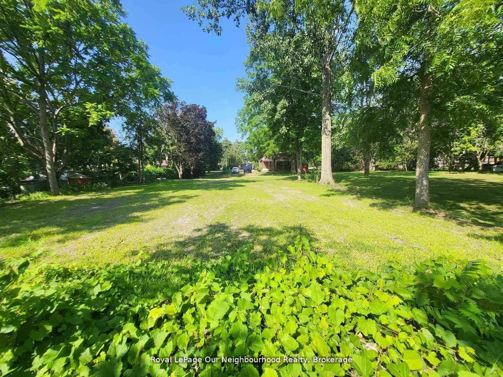 Property Photo:  221A Liberty Street N  ON L1C 2M6 