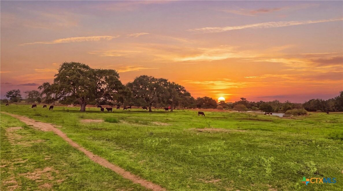 Property Photo:  43 Rice Road  TX 77995 