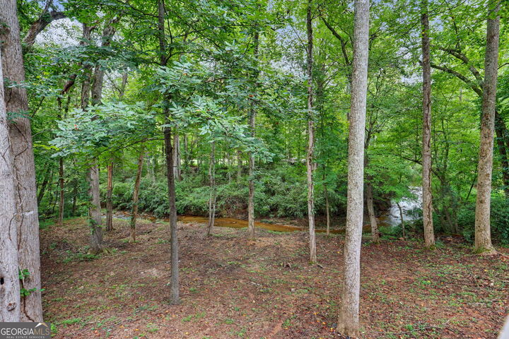 Property Photo:  174 Tusquittee Trail  GA 30531 