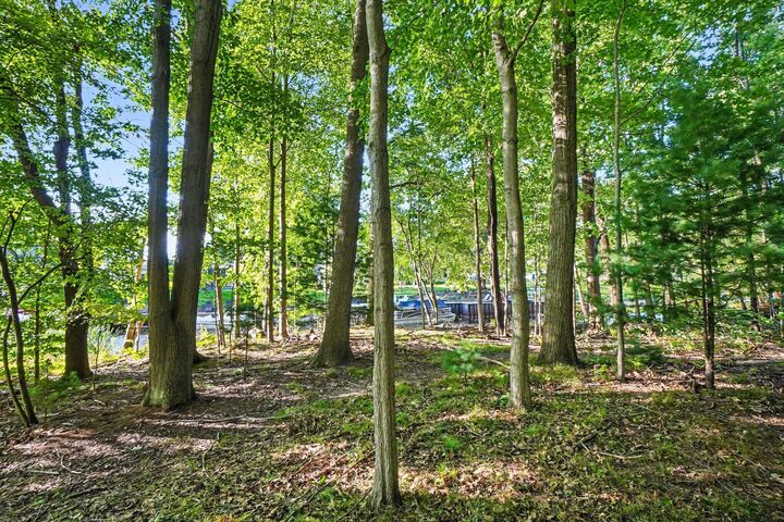 Property Photo: 0 Pless Lane MI 49456
