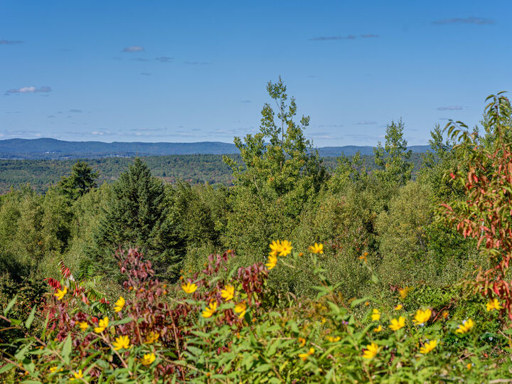 Property Photo:  642 Lincolnville Avenue  ME 04973 