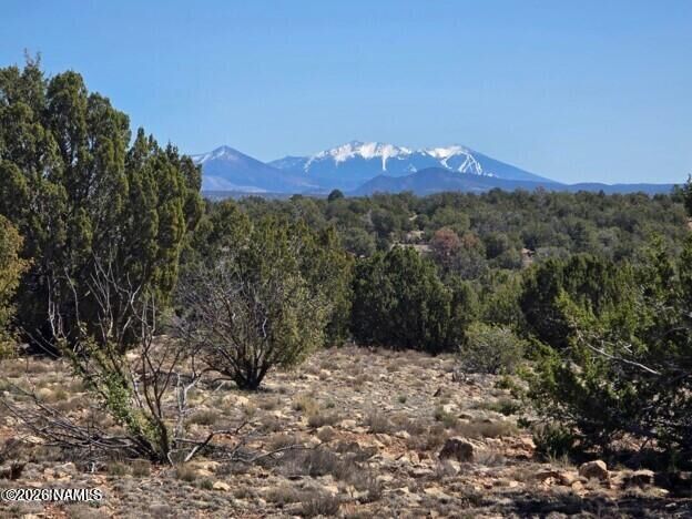 Property Photo: 8001 W Clear Fork Loop AZ 86046