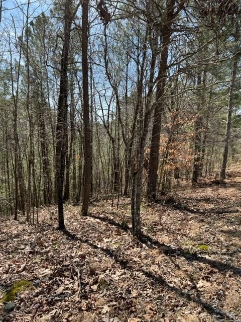 Property Photo:  Lt 4 Hunter Ridge  GA 30540 