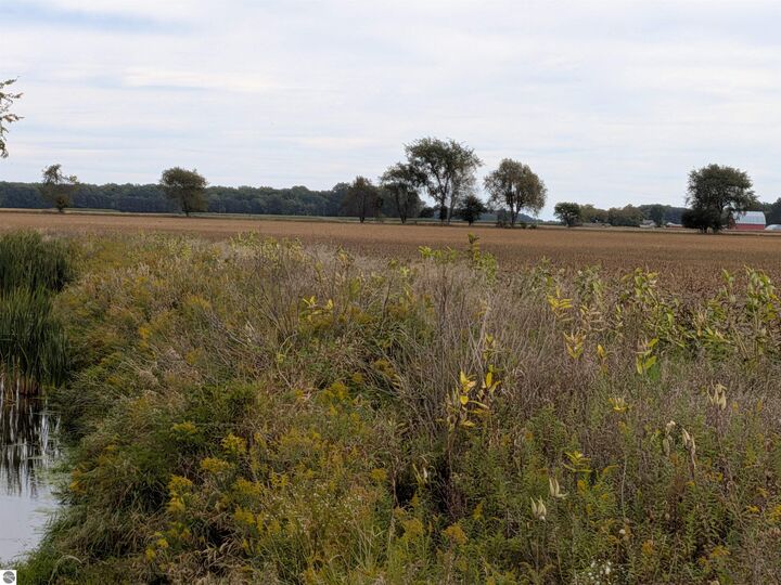 Property Photo: 516 N Pingree Road MI 48801