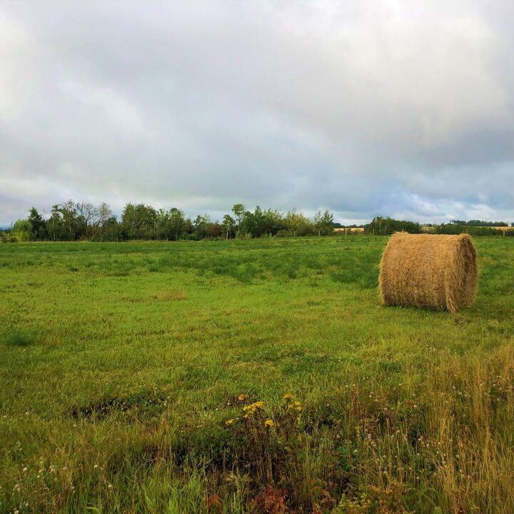 Property Photo:  42 713019 Range Road 71  AB T8W 5E9 
